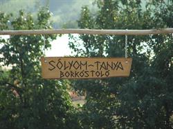 Sólyom-tanya Borkóstoló