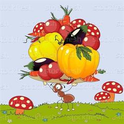Morzsa ABC