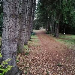 Baracsi úti Arborétum