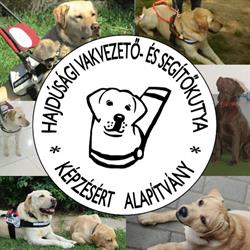 HVSK Alapítvány