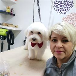 Dog-design kutyakozmetika