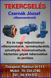 Villanymotor tekercselés - Csernák József