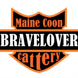 BraveLover Maine Coon Cattery *HU