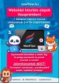 Weboldal alapok kurzus Veszprémben!