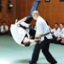 Seibukan Jujutsu