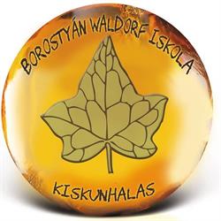 Borostyán Waldorf Általános Iskola