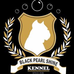 Black Pearl Shine kennel