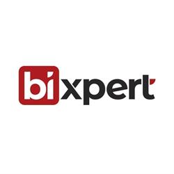 BiXPERT Tanácsadó Kft.