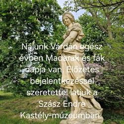 Szász Endre Kastélymúzeum