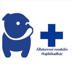 Állatorvosi rendelés Hajdúhadház- Dr. Kecskés Lajos