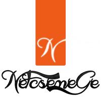 Élelmiszer-házhozszállítás, Netcsemege/ Élelmiszer online