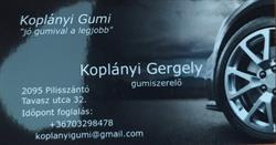 Koplányi Gumi