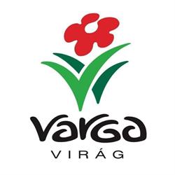 Varga Virágbolt Fertőszentmiklós