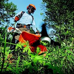 Füzes Stihl