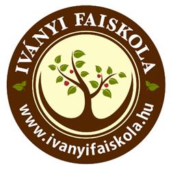 Iványi Faiskola