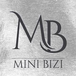 Mini Bizi