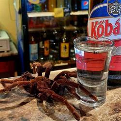 Boszorkány PAN kocsma