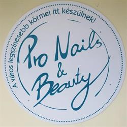 Pro Nails & Beauty Salon