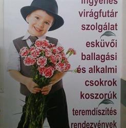 Dávid Virág