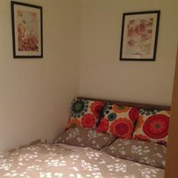 Pauler19 Apartement