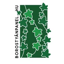 Borostyánpanel
