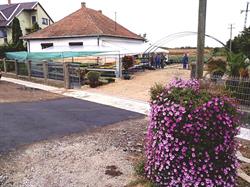 Jakab kertészet