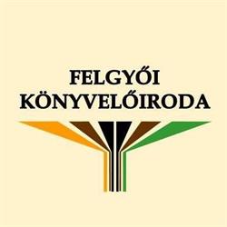 Felgyői Könyvelőiroda