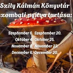Izsáki Szily Kálmán Könyvtár