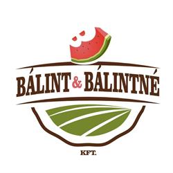 Bálint & Bálintné Kft.