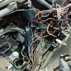 Mentir Kft. / Motorosbolt Csorna