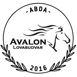 Avalon Lovasudvar és Élménypark