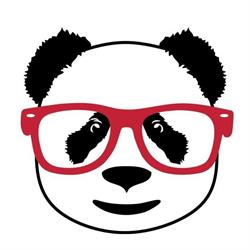 Eyewear Store- Optika Szemvizsgálat Látásvizsgálat