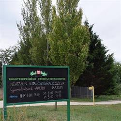 Vadalma tanya