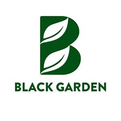 Black Garden