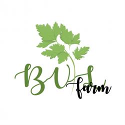BVL Farm Kft.