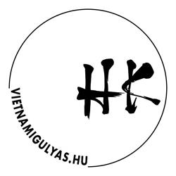 vietnamigulyas.hu