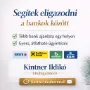 Segítek eligazodni a bankok között