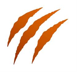 Tiger Softwares