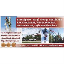 Veszélyes Fák Kivágása és Ifjítása - Király Zoltán - Emelőkosaras Autó Bérbeadása