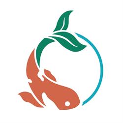 Koi-Kert
