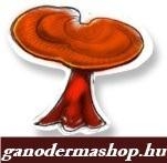 ganodermashop.hu
