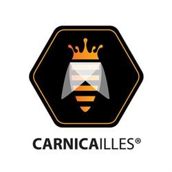 CarnicaIlles méhészet