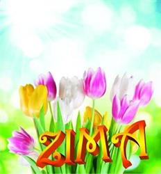 Zima-Plast Kft
