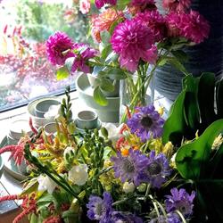 Flowerpower
