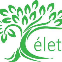 Életfa Stúdió
