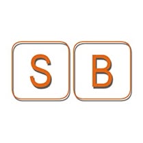 STEYN BAU KFT.