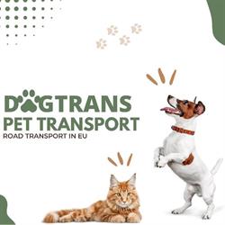 DogTrans Pet Transport