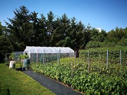 ECO Farm Manufaktúra
