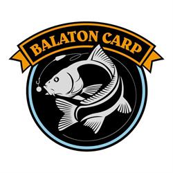 Balaton Carp