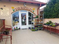 Virágüzlet Hegyeshalom